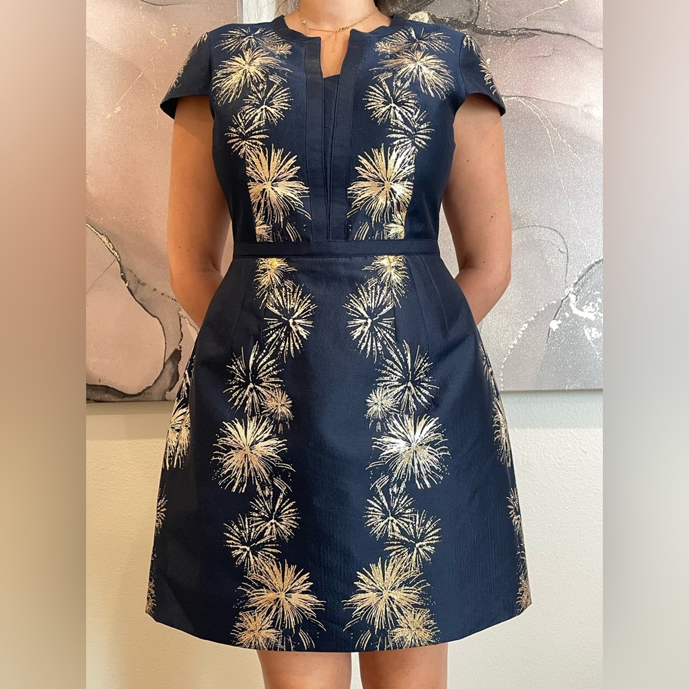 Ted Baker Navy A line dress